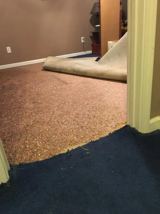 Carpet pad removal revealing water damage during Water Mitigation Services in Bucksport