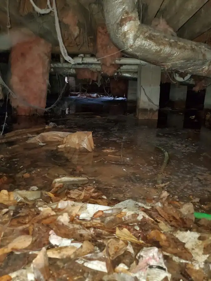 Crawl space flood assessment for Commercial Water Damage Restoration in Bucksport